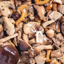 Load image into Gallery viewer, Mushroom Trio (19.4 oz | 550 g)

